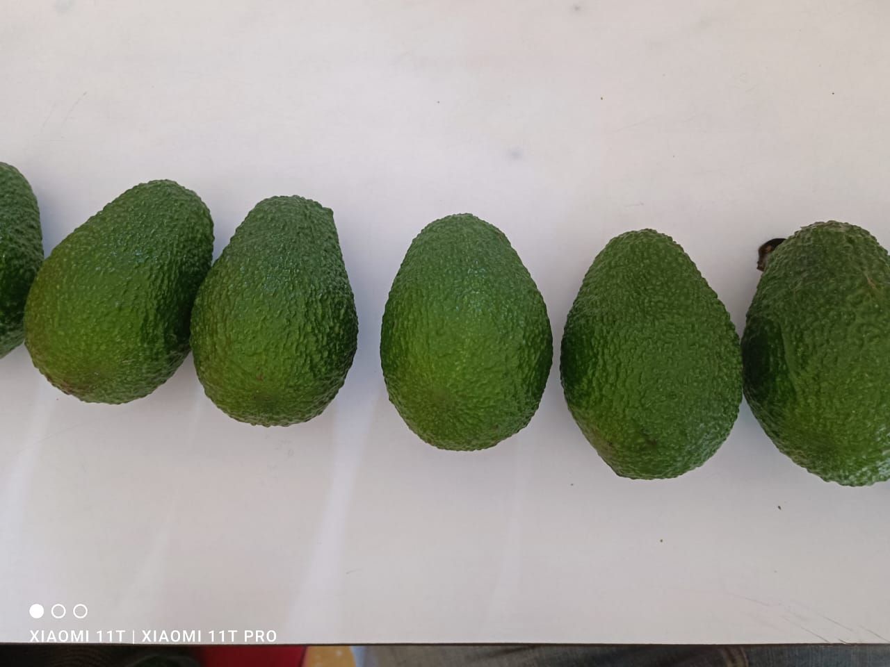 Aguacate