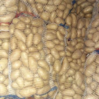Patatas