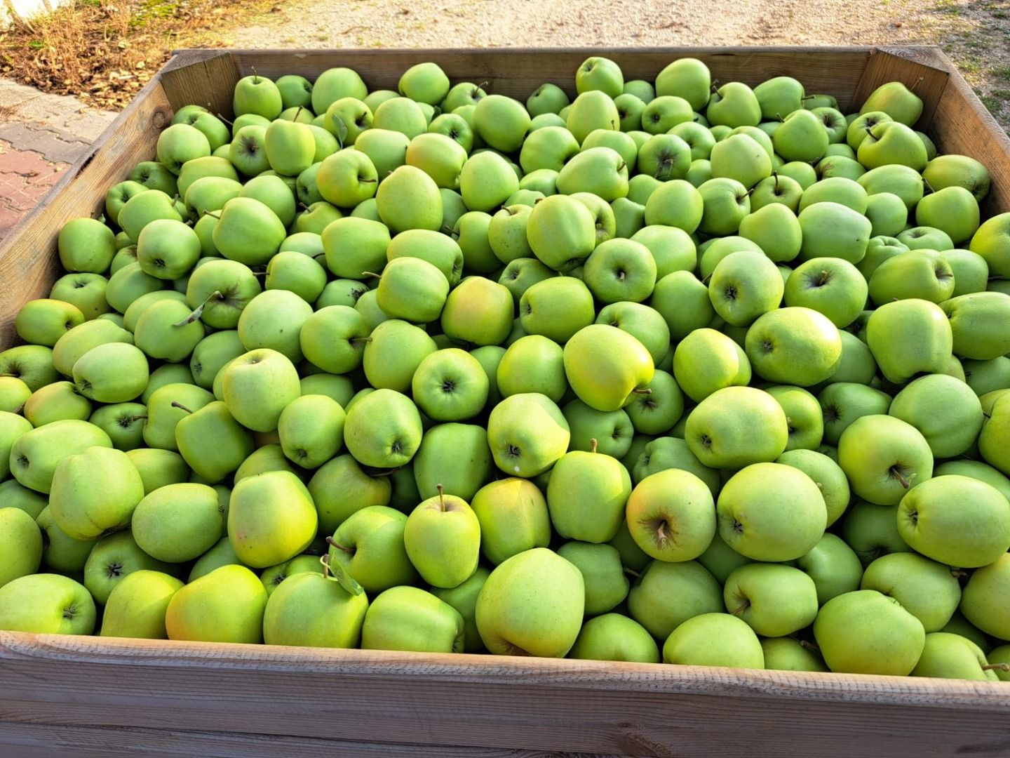 Manzanas