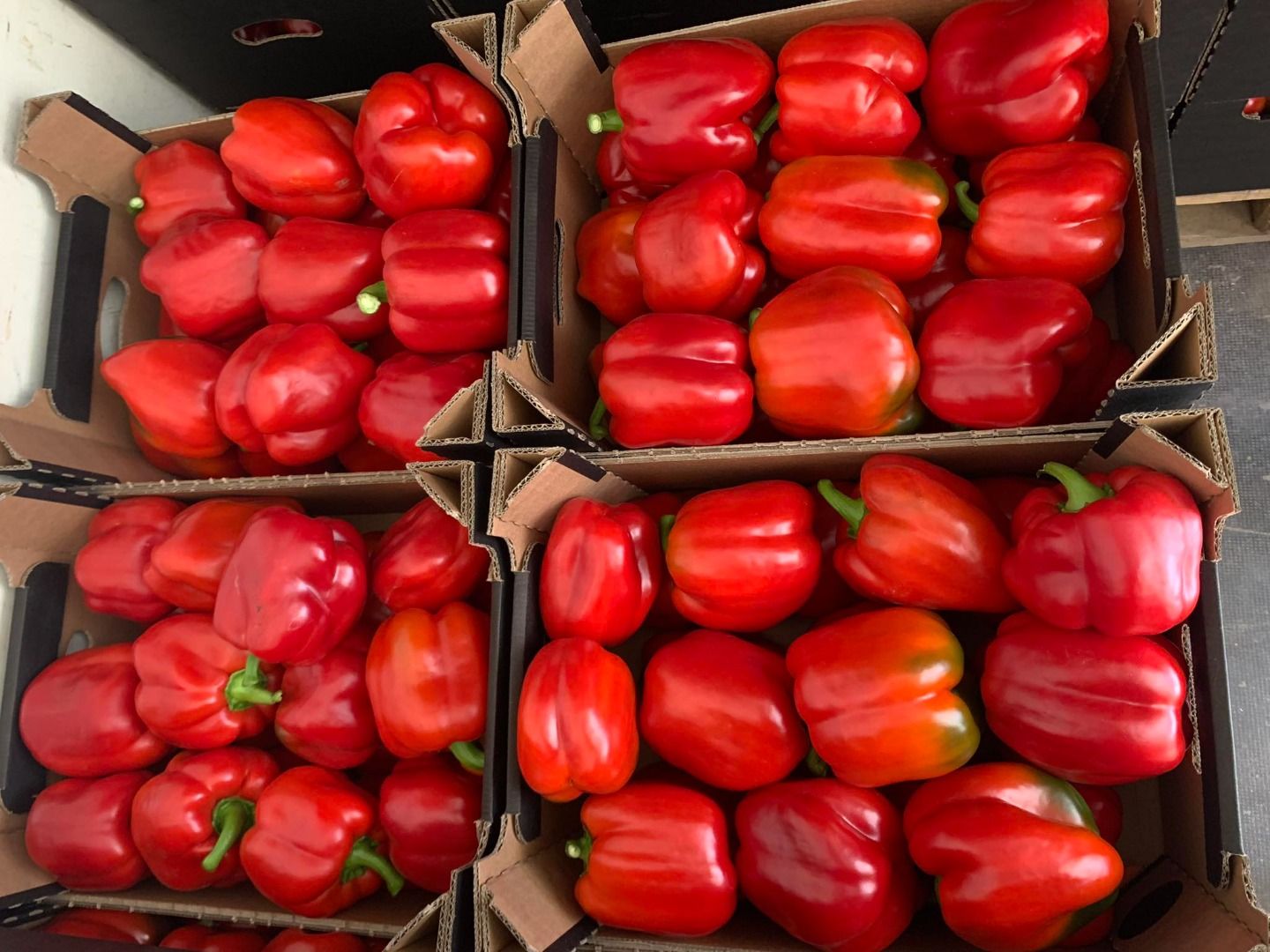 Pimiento rojo | Image 2