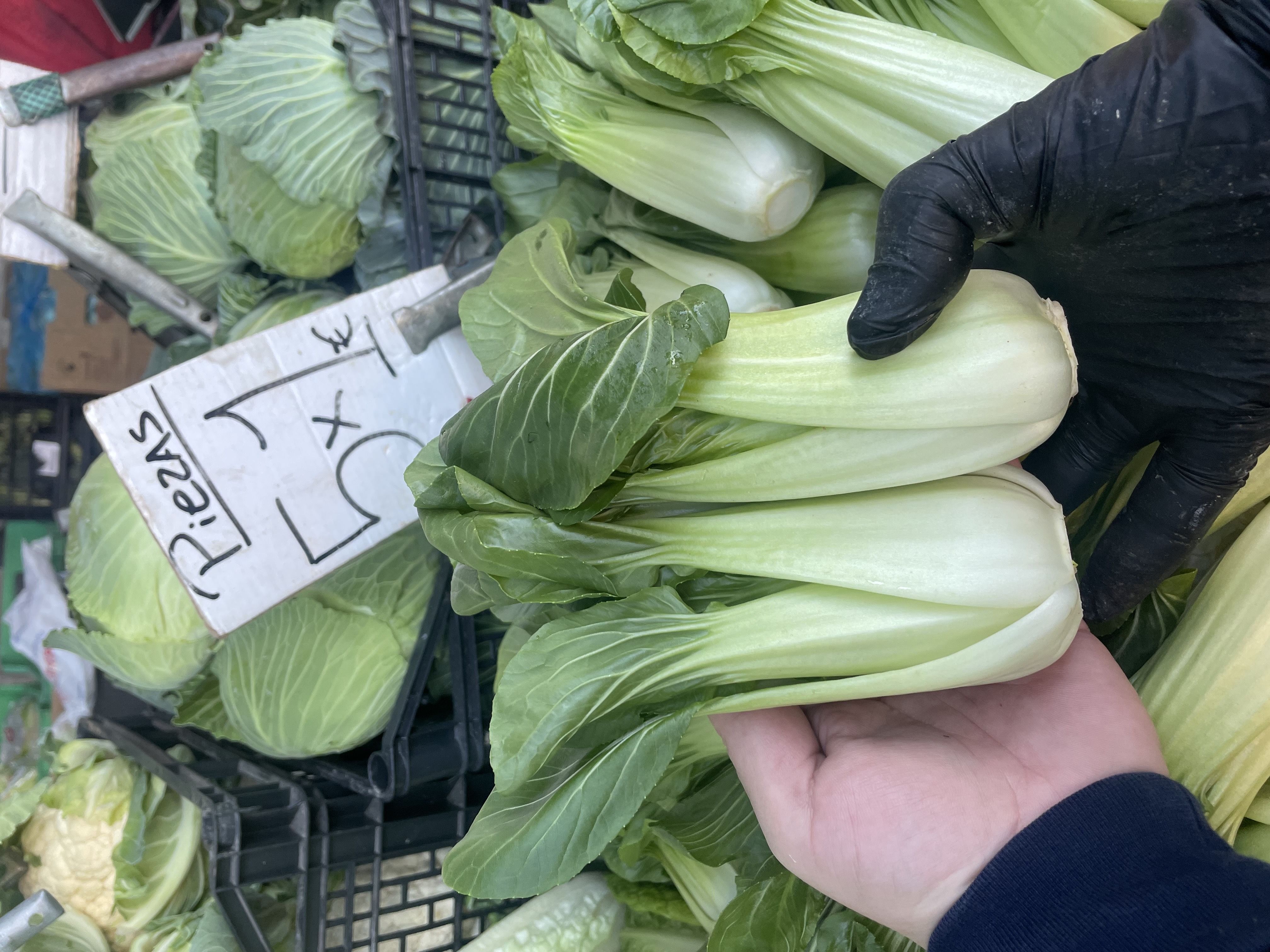Pak choi  | Image 2