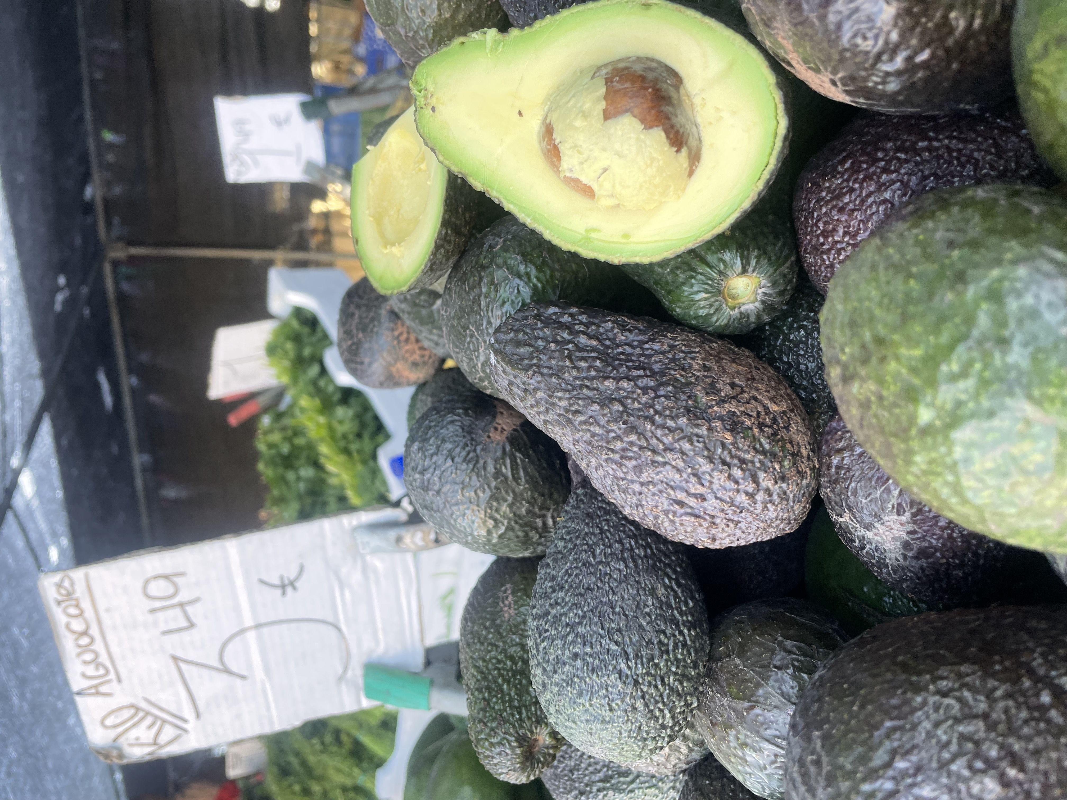 Aguacate | Image 1
