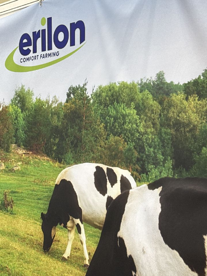 Erilon srl | Image 1