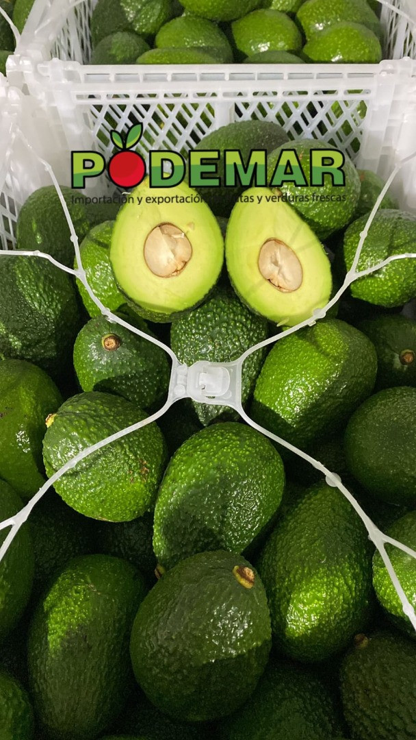 Aguacate | Image 2