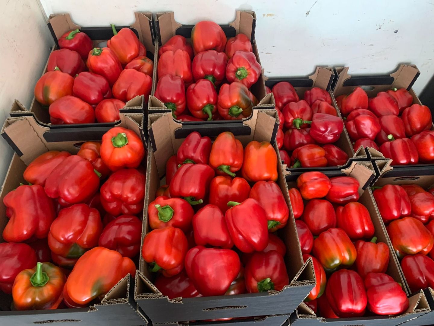 Pimiento rojo | Image 3