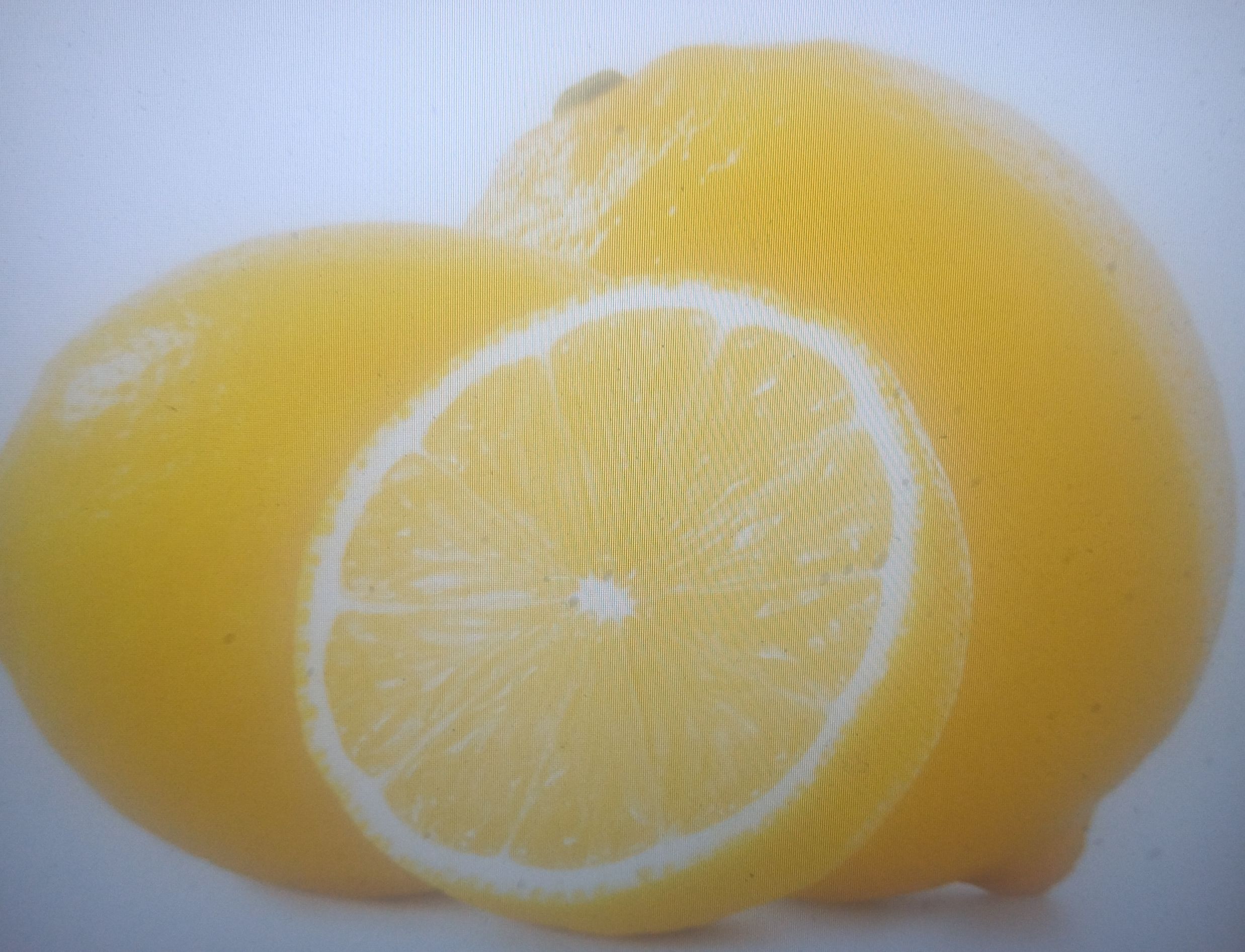 lemon | Obrázek 1